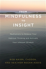 From Mindfulness to Insight