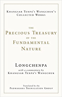 The Precious Treasury of the Fundamental Nature