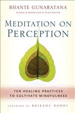 Meditation on Perception : Ten Healing Practices to Cultivate Mindfulness, Bhante Gunaratana, Wisdom Publications