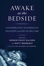 Awake at the Bedside: Contemplative Teachings on Palliative and End-of-Life Care