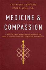 Medicine and Compassion: A Tibetan Lama's Guidance for Caregivers