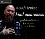 Kind Awareness Guided Meditations for an Inner Revolution, CD Noah Levine