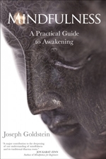 Mindfulness : A Practical Guide to Awakening, Joseph Goldstein, Sounds True