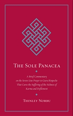 The Sole Panacea