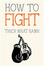 How to Fight   Thich Nhat Hanh