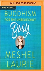 Buddhism for the Unbelievably(MP3 CD), Meshel Laurie