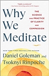 Why We Meditate: The Science and Practice of Clarity and Compassion, Daniel Goldman, Tsoknyi Rinpoche