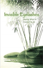 Invisible Eyelashes: Seeing What Is Closest to Us