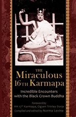 The Miraculous 16th Karmapa, Norma Levine