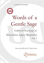 Words of a Gentle Sage: Collected teachings of Khenchen Appey Rinpoche, Christian Bernert , Vajra Publications, Chodrung Karmo Translation Group