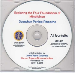 Exploring the Four Foundations of Mindfulness (MP3CD)