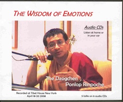 Wisdom of Emotions (CDs)