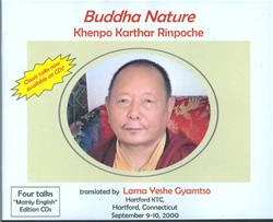 Buddha Nature (CDs)