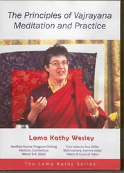 The Principles of Vajrayana Meditation and Practice  (DVDs)