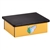 Clinton Ocean Snail Yellow Laminate Step Stool