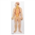 3B Scientific Human Nervous System Model, 1/2 Life - Size - 3B Smart Anatomy