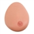 3B Scientific Single Breast Model with Benign Tumor