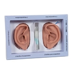 3B Scientific Ear Set, One Left and Right Ear