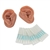 3B Scientific Acupuncture Ears, Set for 10 Students (Left and Right)