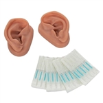 3B Scientific Acupuncture Ears, Set for 10 Students (Left and Right)