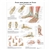 3B Scientific Foot and Joints of Foot Chart - Anatomy and Pathology (Laminated)