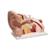 3B Scientific Giant Ear Model, 5 Times Full-Size, 3 Part - 3B Smart Anatomy