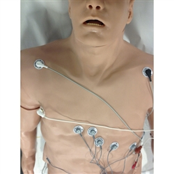 Nasco Simulaids Physio 12-Lead Arrhythmia Simulator with Manikin Overlay - Large