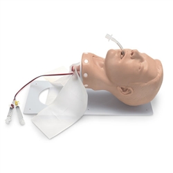 Nasco Simulaids Adult Deluxe Airway Management Trainer with Board