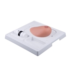 3B Scientific SONOtrain Breast Model with Tumours