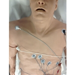 Nasco Simulaids 12-Lead Arrhythmia Simulator with Manikin Overlay, Zoll - Large