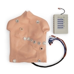 Nasco Simulaids 12-Lead Arrhythmia Simulator with Manikin Overlay, Heartstart - Large