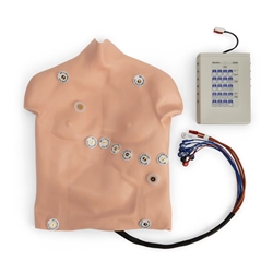 Nasco Simulaids 12-Lead Arrhythmia Simulator with Manikin Overlay, Heartstart - Large