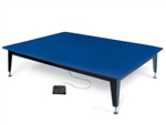 Hausmann Bariatric Electric Mat Platform