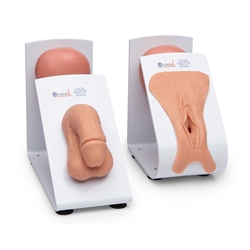 Nasco Simulaids Male and Female Catheterization Trainers Models Set