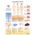 3B Scientific Decubitus Ulcers Chart (Non Lamination)