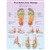 3B Scientific Foot Reflex Zone Massage Chart (Non Laminated)