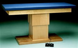 Bailey Professional Hi-Low Treatment Table