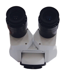 Seiler Straight Binocular Head