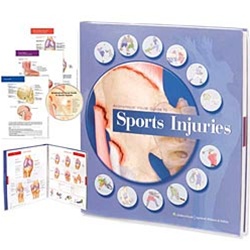 Anatomical Visual Guide to Sports Injuries