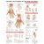 Anatomy and Injuries of the Hand and Wrist Anatomical Chart