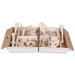 3B Scientific Disarticulated Half Human Skeleton Model, Wire Mounted Hand & Foot Smart Anatomy