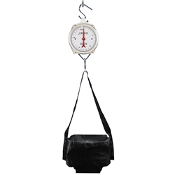 Detecto Baby Scale, Dial, Hanging Sling Seat, 25kg x 100g