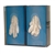 Bowman Glove Box Dispensers - Double with Dividers