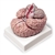 Nasco Life-Size Brain with Arteries