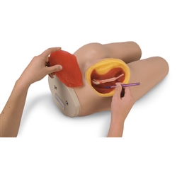 Nasco Life or Form Intramuscular Injection Simulator