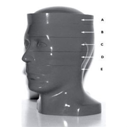 RSD Computed Tomography Head Phantom (5 Slices)