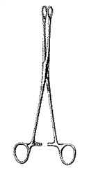 Miltex Sponge Forceps, 9-1/2" Straight, Serrated Jaws