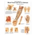 3B Scientific Clinically Important Blood Vessel and Nerve Pathways Chart