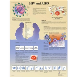 3B Scientific HIV and AIDS Chart