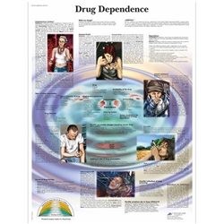 3B Scientific Drug Dependence Chart